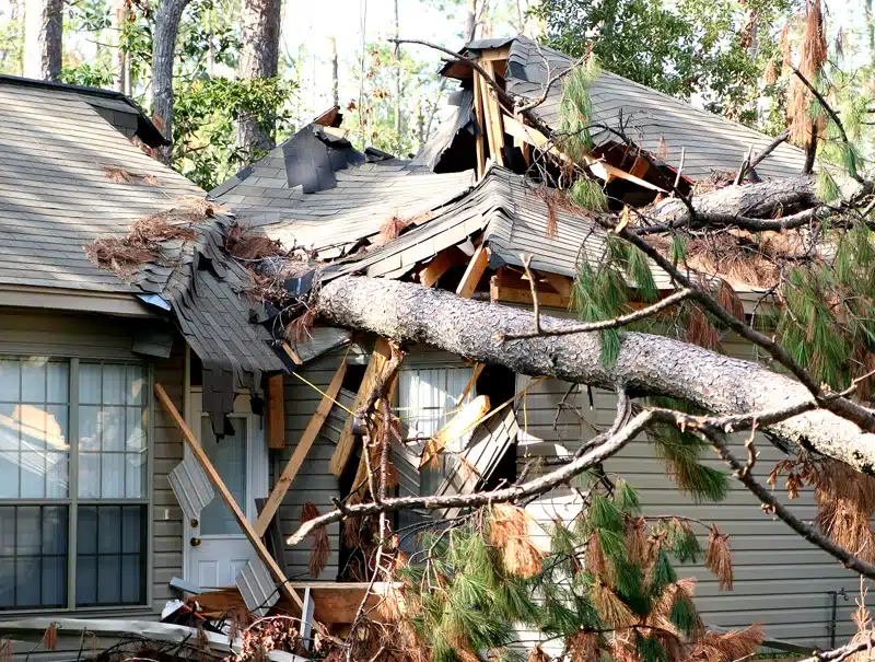 Storm damage to a residential roof caused by a fallen tree in Connecticut