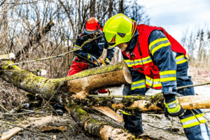 Emergency workers clearing a downed tree after a storm