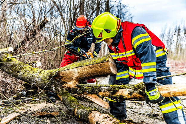 Emergency workers clearing a downed tree after a storm