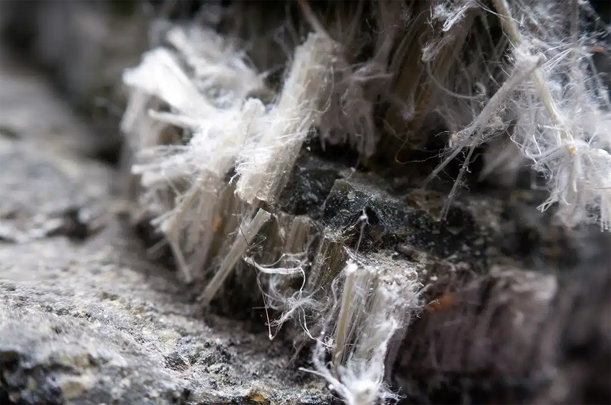 Close-up of asbestos fibers in rock, showing white, hair-like strands.