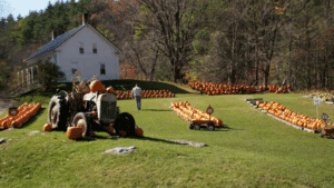 Connecticut farm with pumpkins on display during fall season.