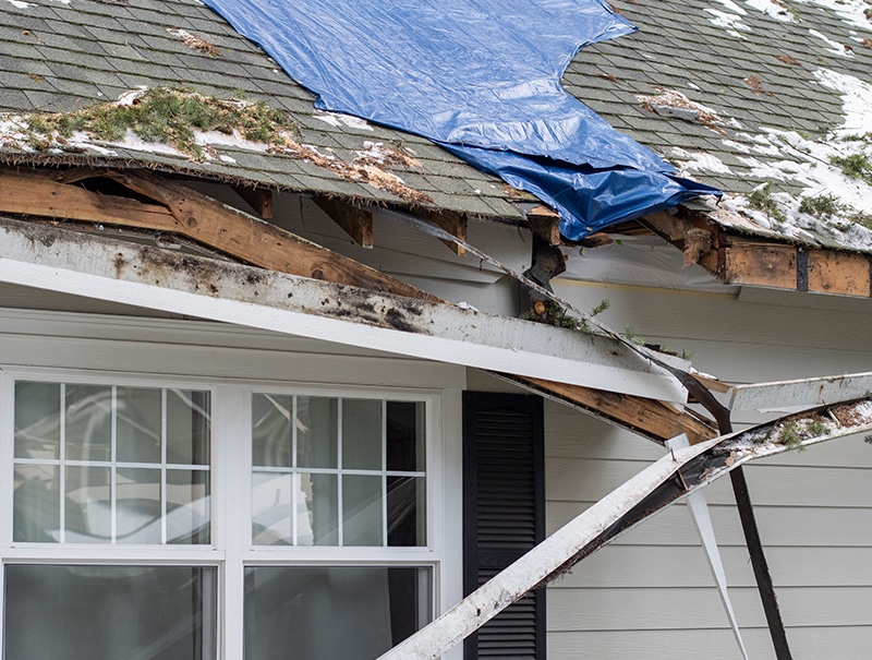 Storm-damaged roof covered with tarp after tree impact.